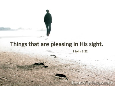 Things that are pleasing in His sight.